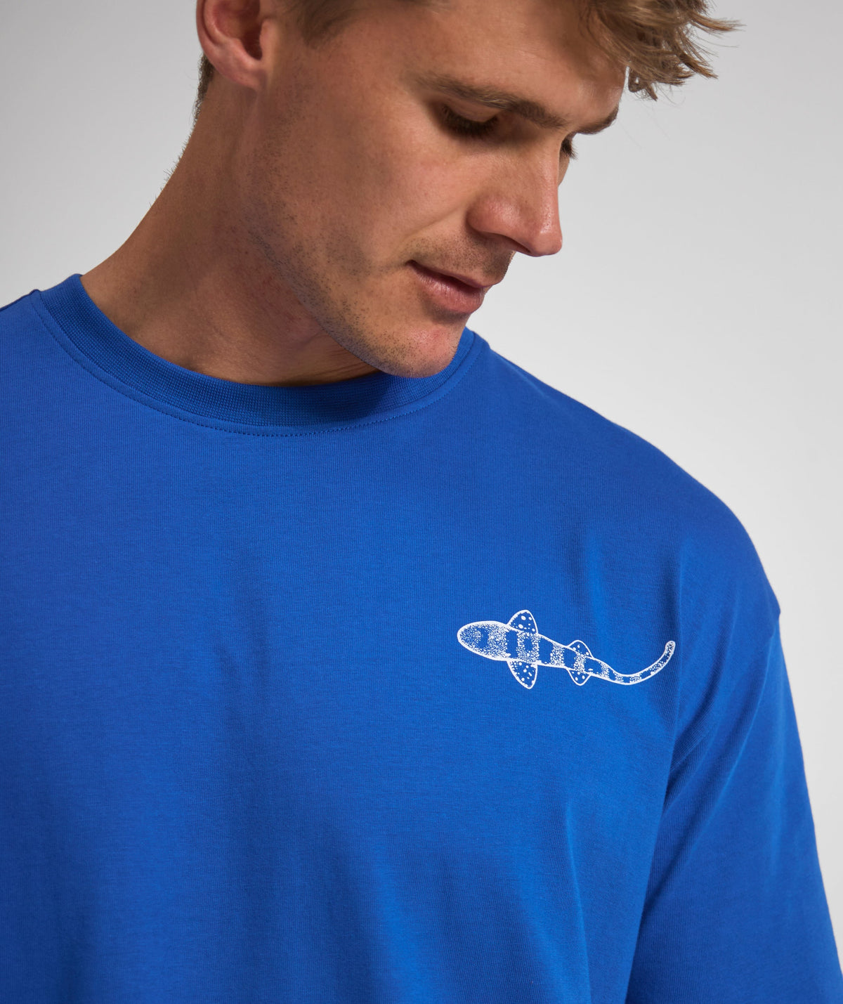 Mens Shy Shark Graphic Tee - Cobalt