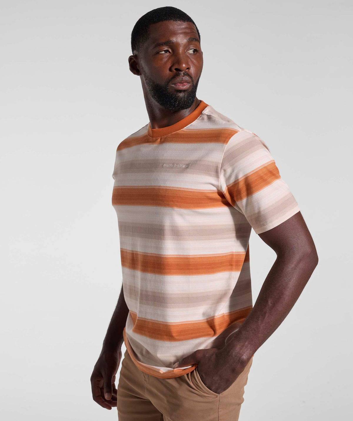 Mens Striped Regular Tee - Umber