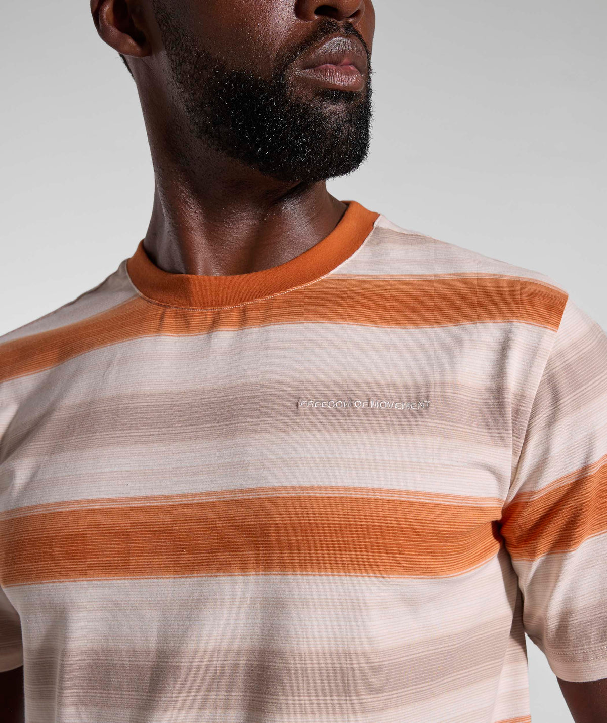 Mens Striped Regular Tee - Umber